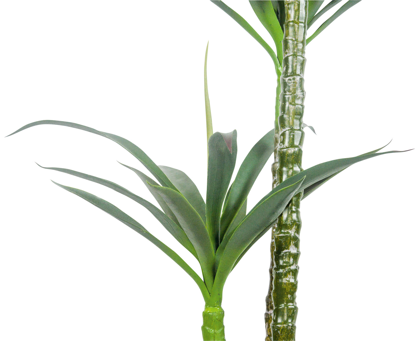 A54200037 Greenery - Ashley Furniture Homestore Philippines