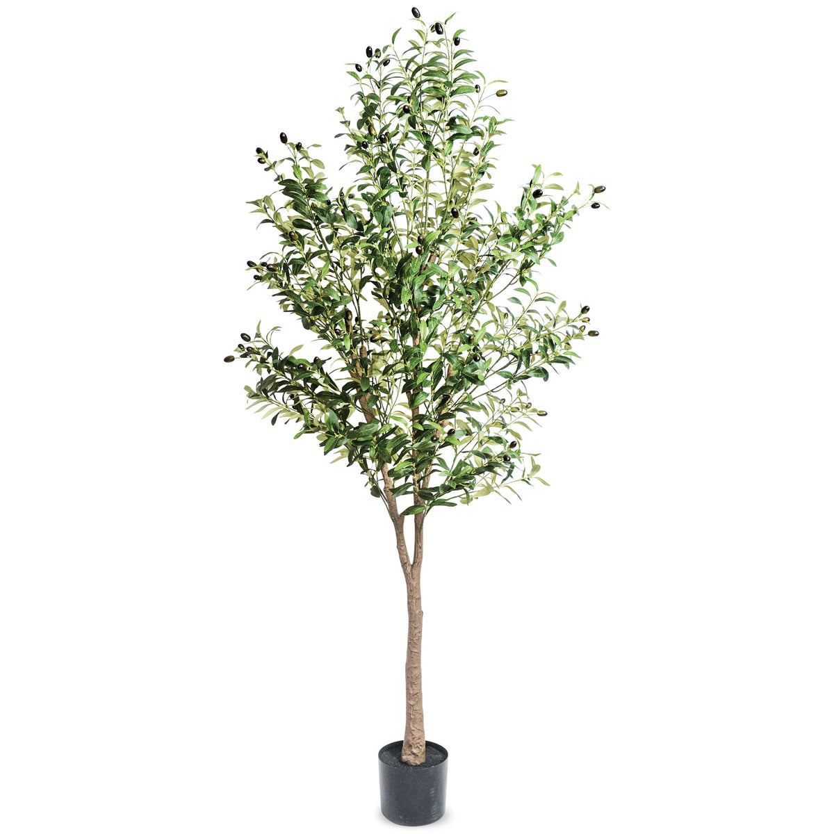 A54200038 Greenery - Ashley Furniture Homestore Philippines