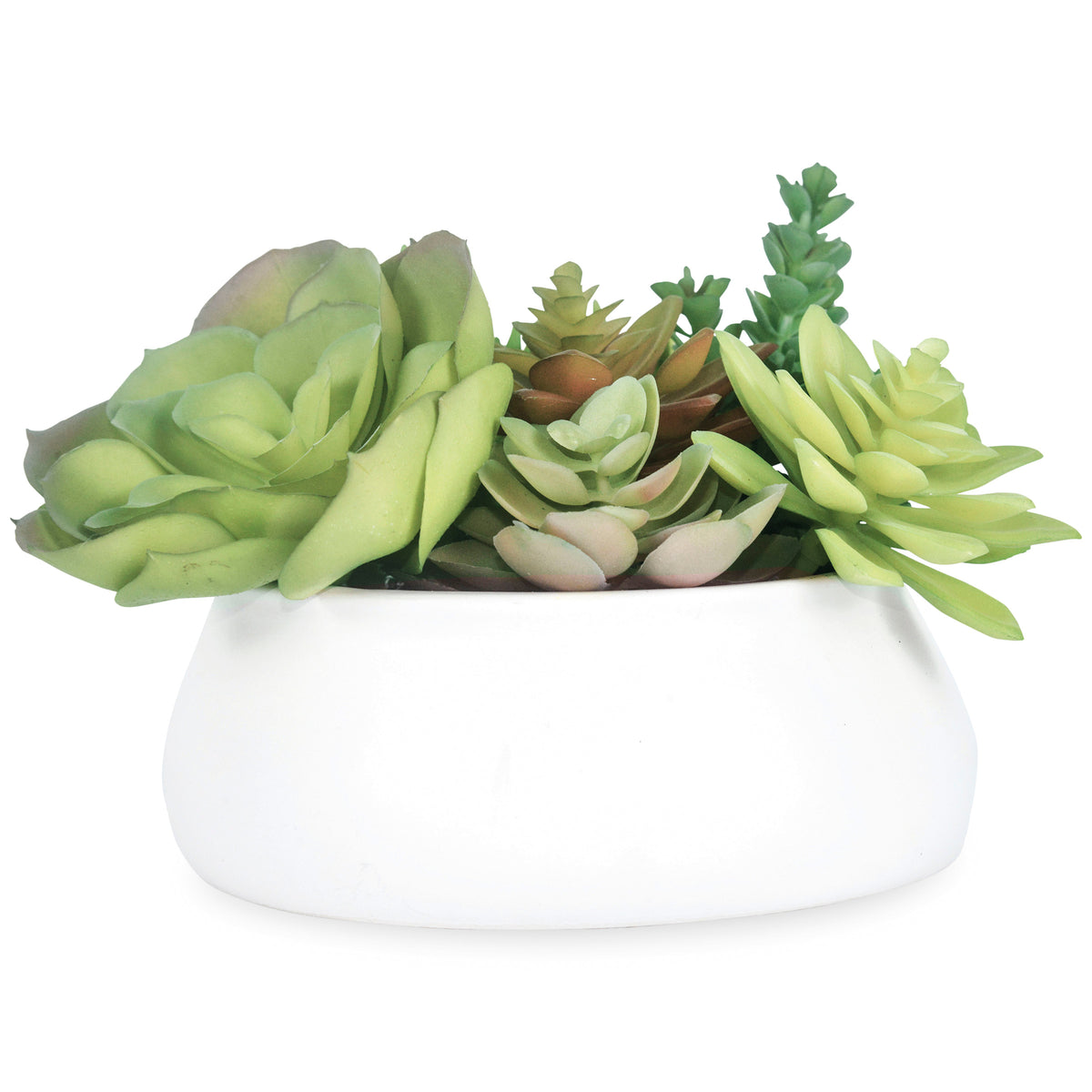 A54200040 Greenery - Ashley Furniture Homestore Philippines