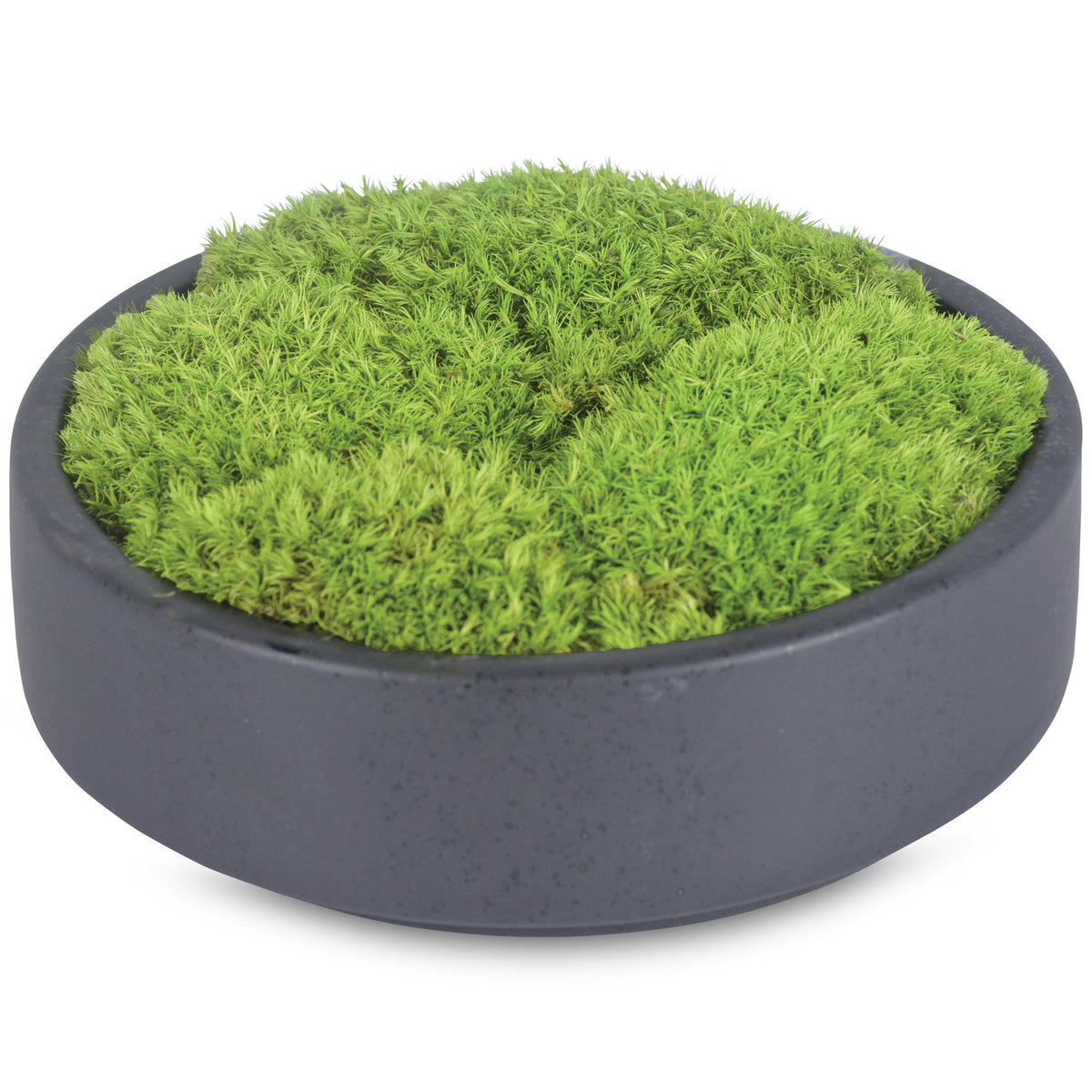 A54200041 Greenery - Ashley Furniture Homestore Philippines
