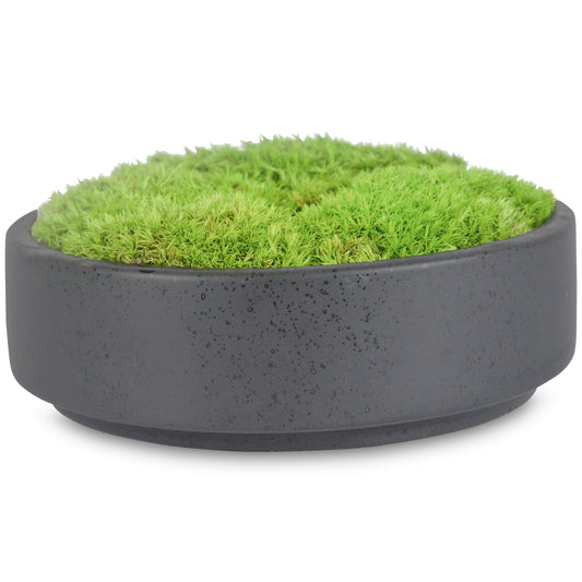 A54200041 Greenery - Ashley Furniture Homestore Philippines