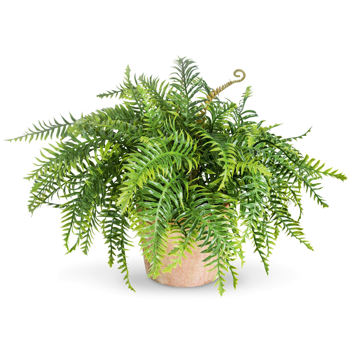 A54200043 Greenery - Ashley Furniture Homestore Philippines