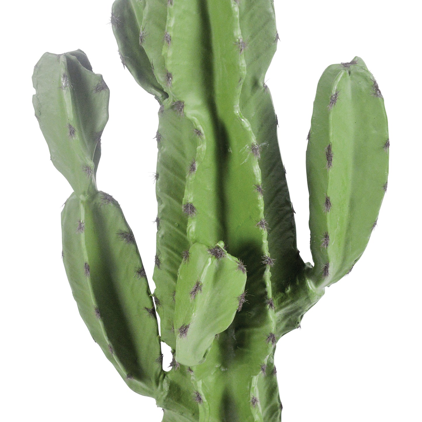 A54200049 Greenery - Ashley Furniture Homestore Philippines