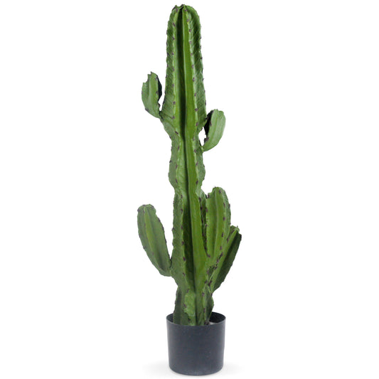 A54200050 Greenery