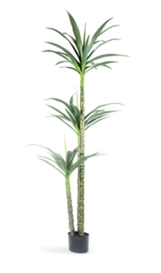 A54200037 Greenery