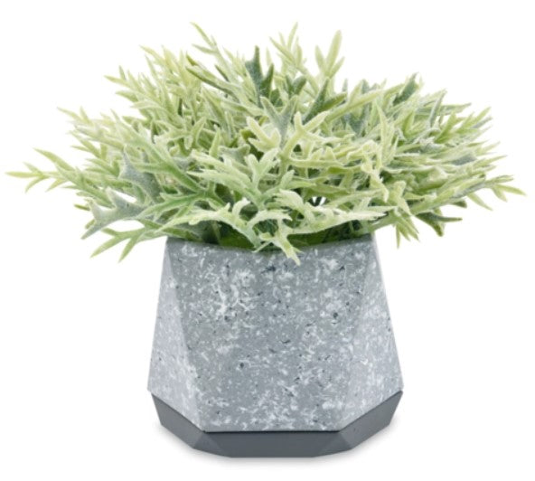 A54200029 Greenery - Ashley Furniture Homestore Philippines
