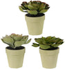 29089 Succulents In Pot