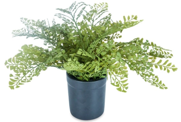 A54200044 Greenery - Ashley Furniture Homestore Philippines