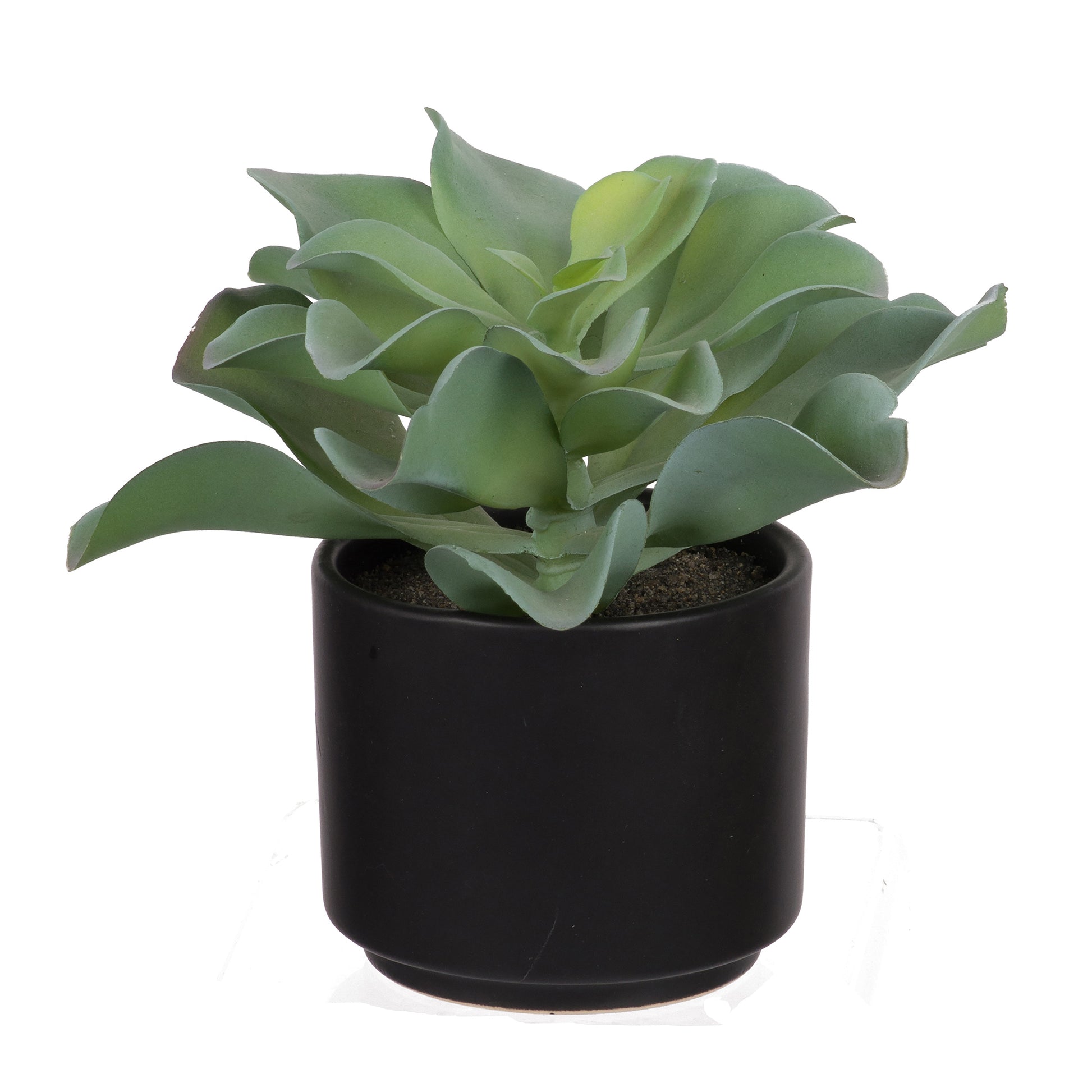 A54200004 Greenery - Ashley Furniture Homestore Philippines