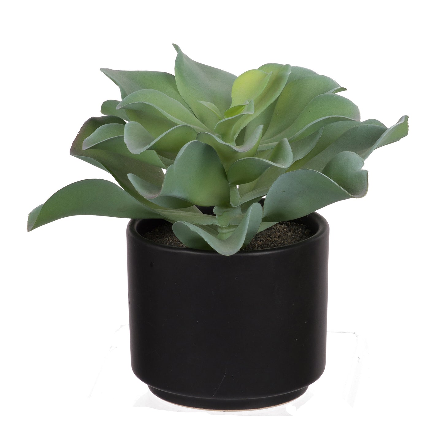 A54200004 Greenery - Ashley Furniture Homestore Philippines