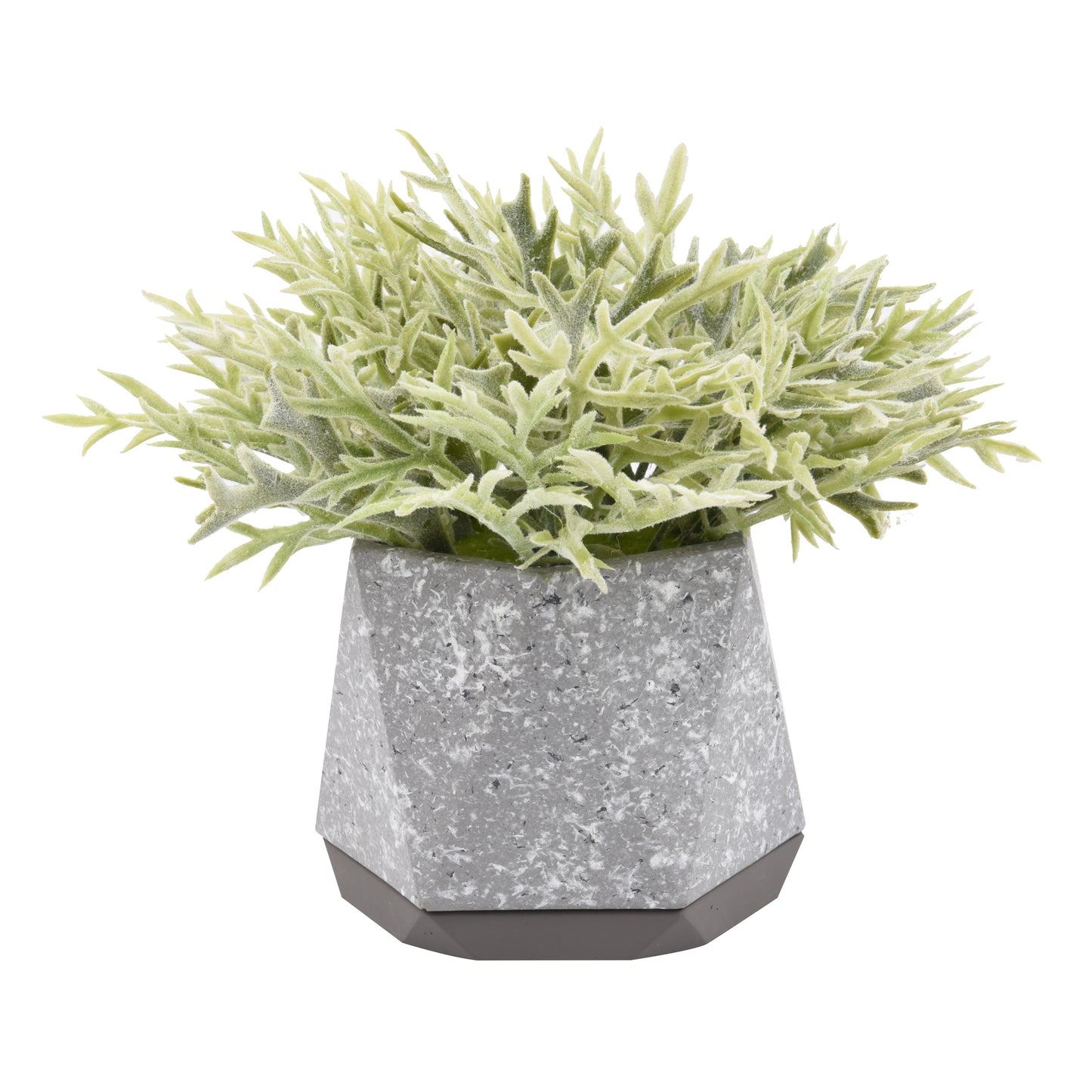 A54200009 Greenery - Ashley Furniture Homestore Philippines
