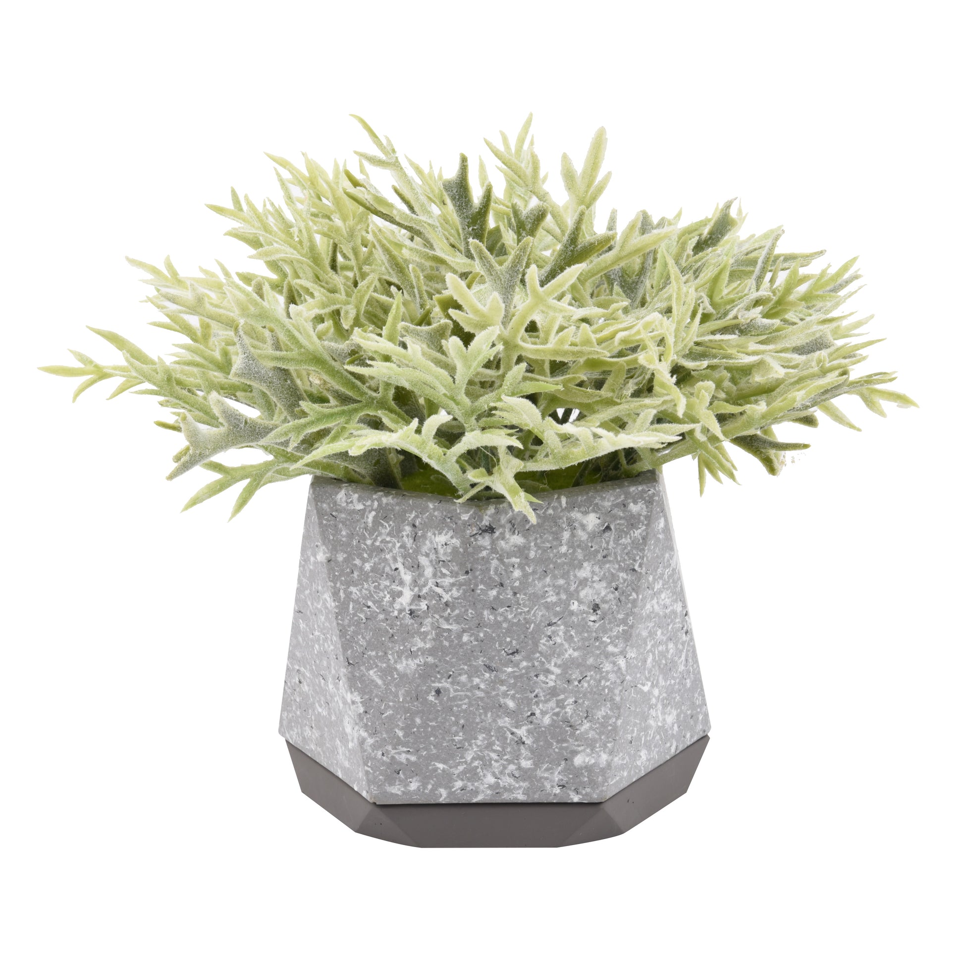 A54200009 Greenery - Ashley Furniture Homestore Philippines