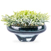 A54200031 Greenery