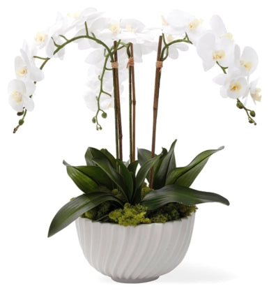 A54200035 Greenery - Ashley Furniture Homestore Philippines