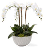 A54200035 Greenery