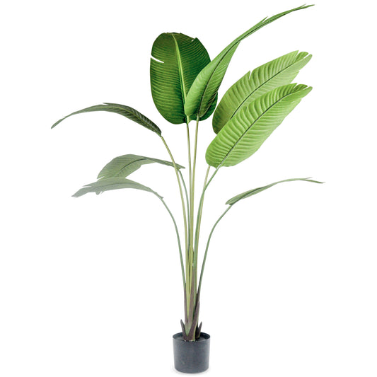 A54200036 Greenery - Ashley Furniture Homestore Philippines