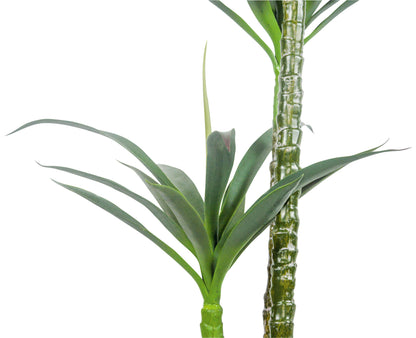 A54200037 Greenery - Ashley Furniture Homestore Philippines