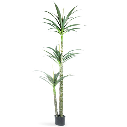 A54200037 Greenery - Ashley Furniture Homestore Philippines