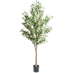 A54200038 Greenery