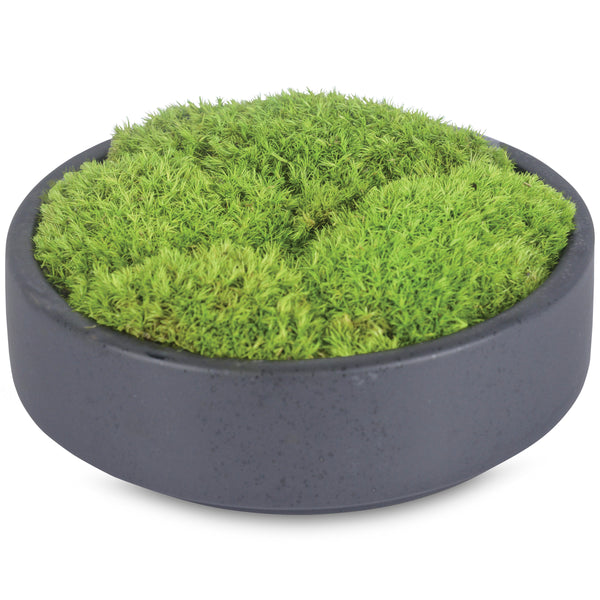 A54200041 Greenery - Ashley Furniture Homestore Philippines