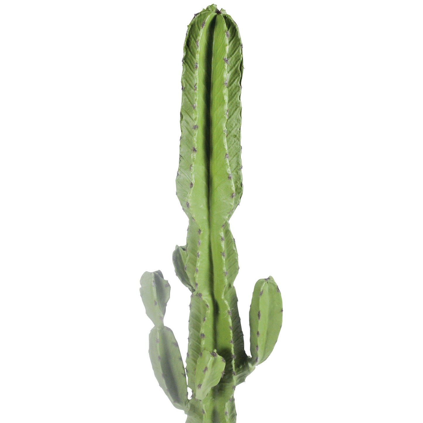 A54200049 Greenery - Ashley Furniture Homestore Philippines
