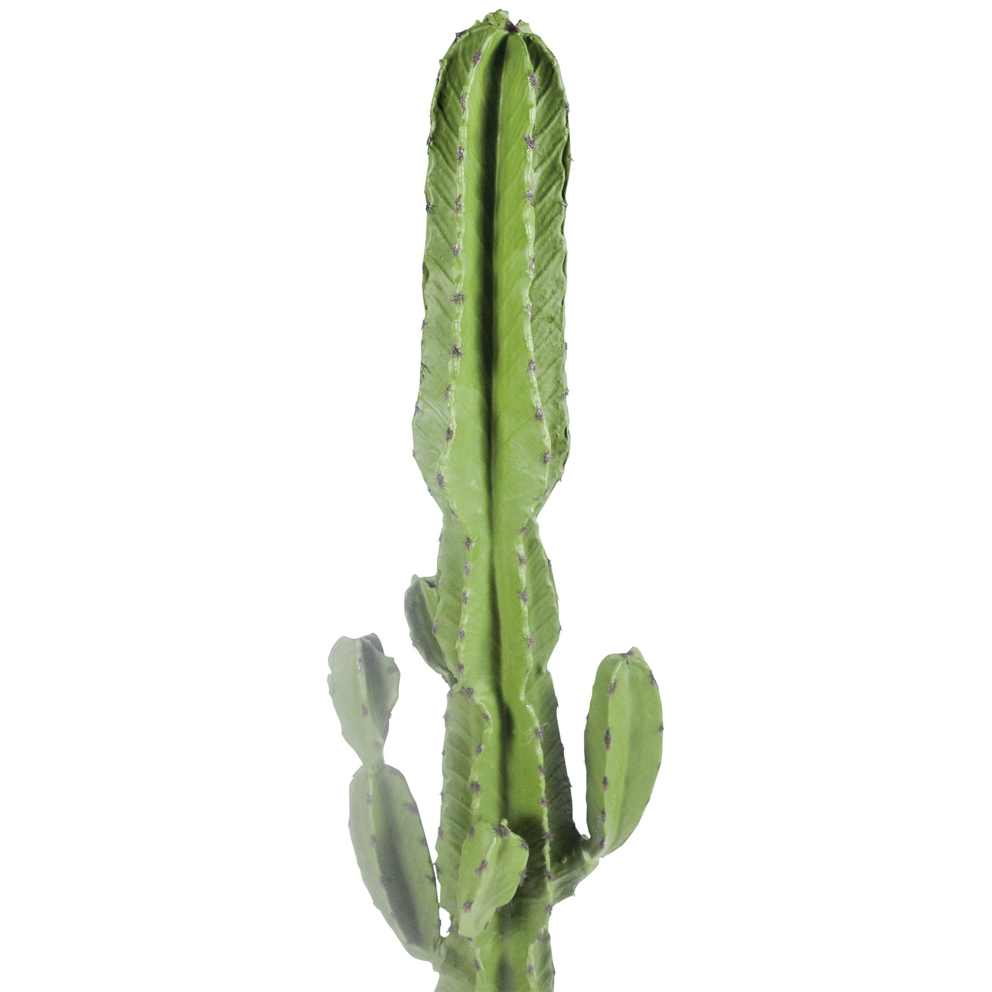 A54200049 Greenery - Ashley Furniture Homestore Philippines