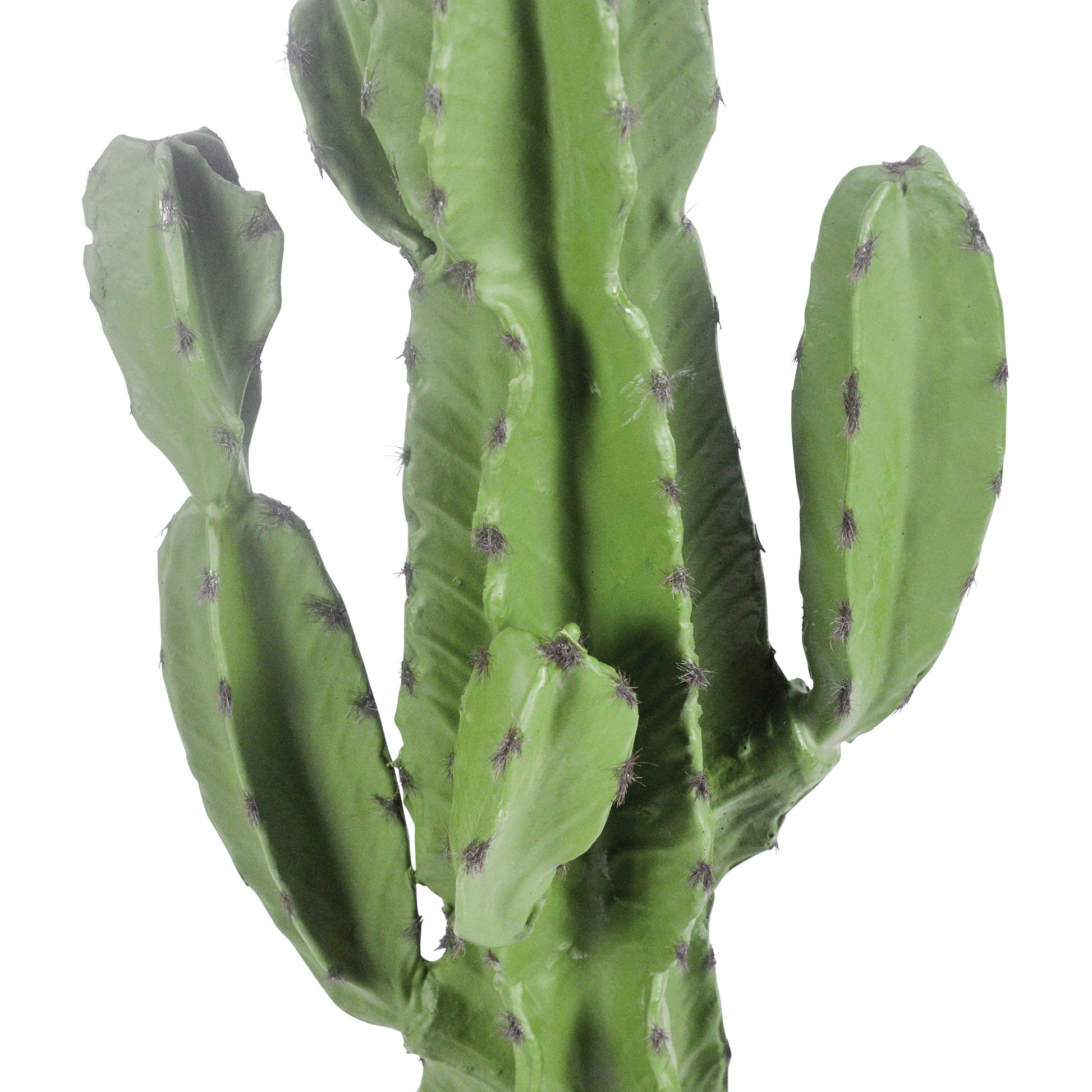A54200049 Greenery - Ashley Furniture Homestore Philippines