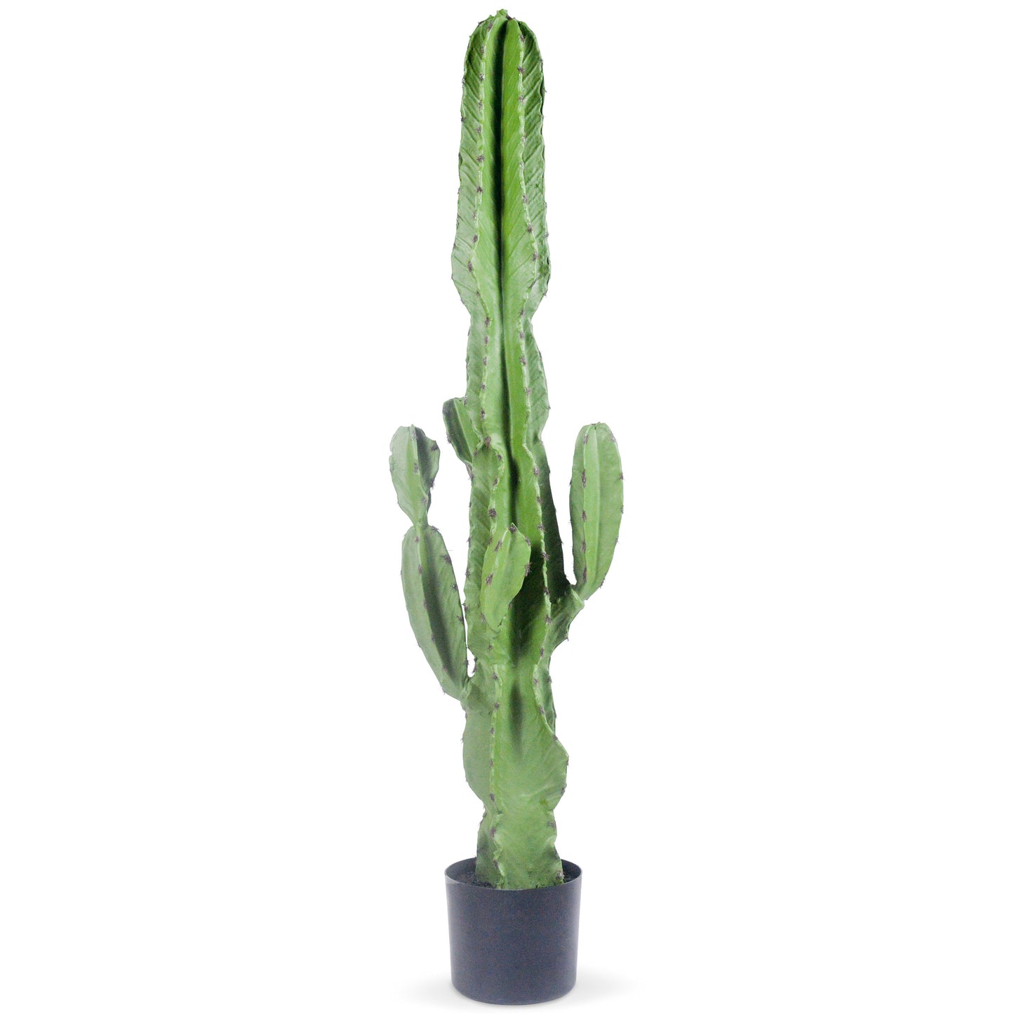 A54200049 Greenery - Ashley Furniture Homestore Philippines