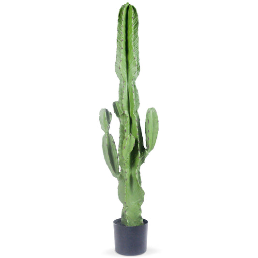 A54200049 Greenery - Ashley Furniture Homestore Philippines