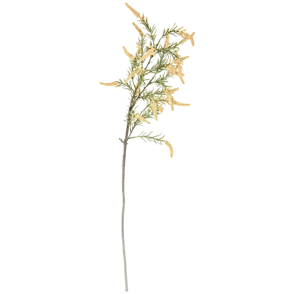 A54200051 Floral