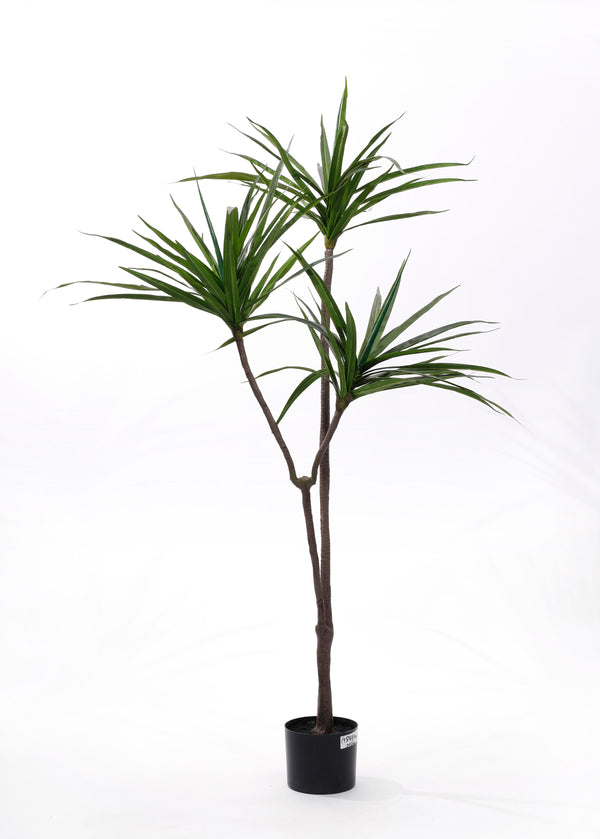 A54300010 Greenery - Ashley Furniture Homestore Philippines