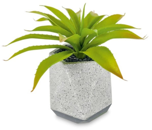 A54200027 Greenery