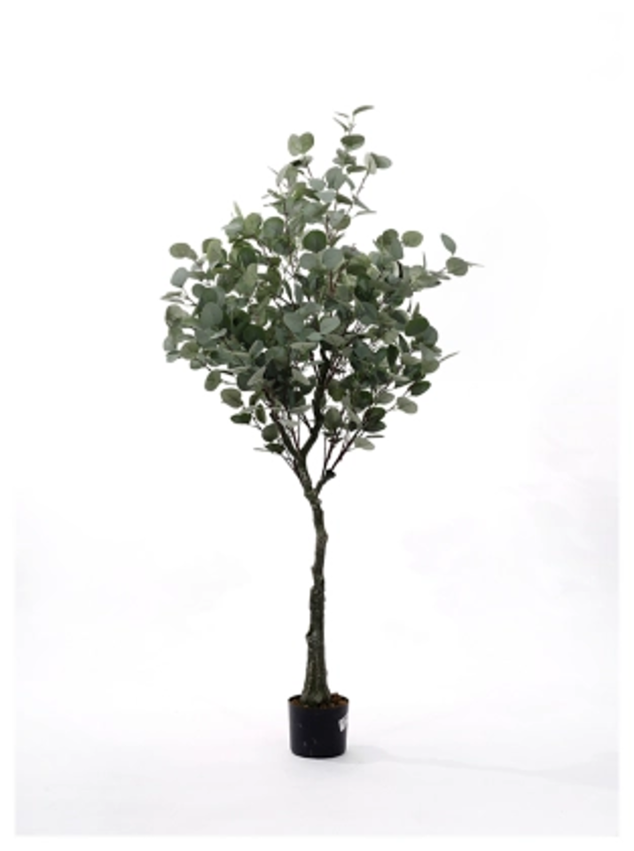 A54300009 Greenery - Ashley Furniture Homestore Philippines