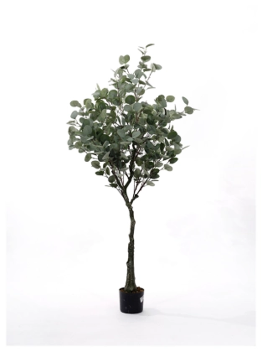 A54300009 Greenery - Ashley Furniture Homestore Philippines