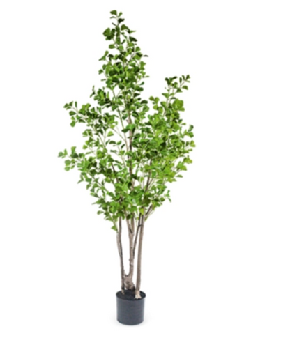 A54200032 Greenery - Ashley Furniture Homestore Philippines