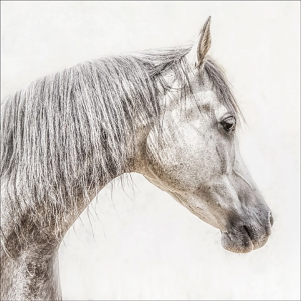 A58000157 Wall Art - Ashley Furniture Homestore Philippines