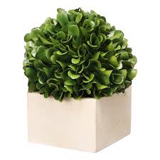 29395 Boxed Topiary