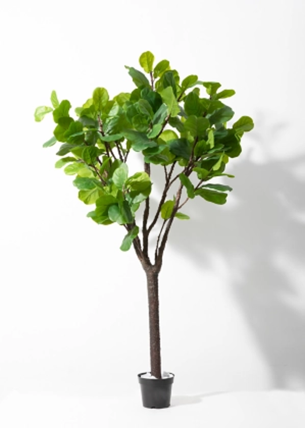 A54200007 Greenery - Ashley Furniture Homestore Philippines