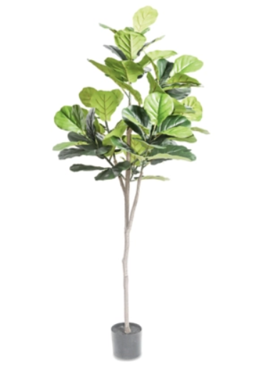 A54200039 Greenery - Ashley Furniture Homestore Philippines