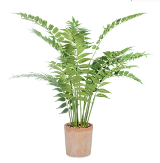 A54200045 Greenery
